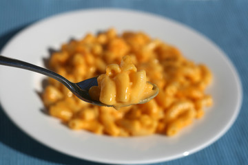 Macaroni and Cheese