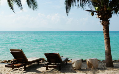 vacances et duo sous cocotier