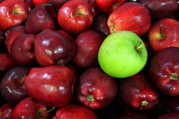 Fototapeta na wymiar red apple and green apple