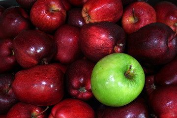 red apple and green apple