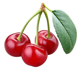 Cherry; objects on white background