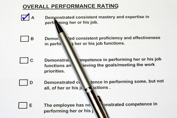 Overall Performance Rating Form 3