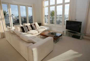 Modern furnished living room with plasma TV - 5853539