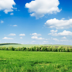 Obraz premium green field and beautiful white clouds
