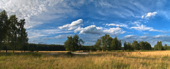 Field with blue sky