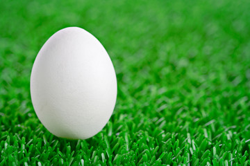 Egg on a green grass background