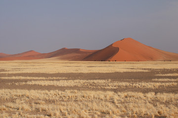 Fototapeta na wymiar Dünen in der Namib