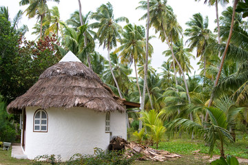 Fototapeta na wymiar Mały dom w Palm drewna