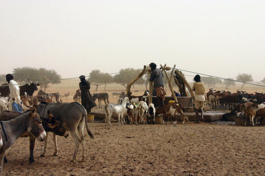 Puits (&eacute;leveur spuisant l'eau pour le b&eacute;tail) Mali