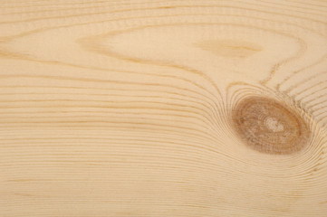 Holz