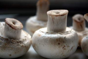 Champignons