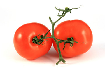 three tomatos with a bit of shadow isolated on white