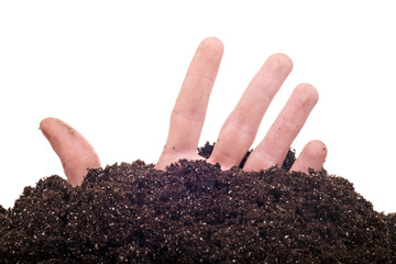 male hand sinking in soil isolated on white