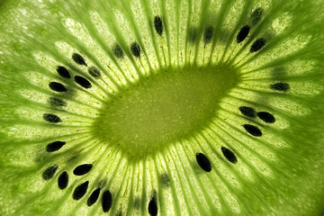 close up of a kiwi fruit inside with seeds