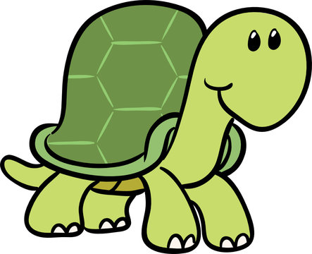cute turtle vector illustration