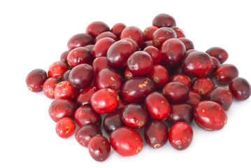 Fresh red cranberries
