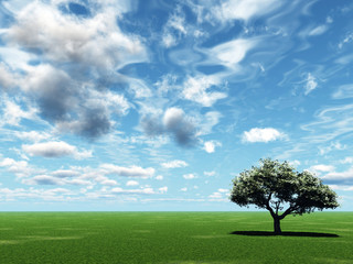 Alone tree and beautiful sky with clouds  - 3d landscape scene.