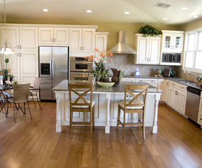 Modern kitchen with hardood flooring