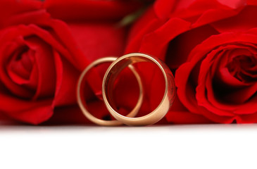 Red roses and rings isolated on the white background