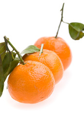 three tangerines macro isolated on white background