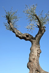 Abbraccio fraterno col mondo