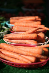 Carrots at the Farmer's Market