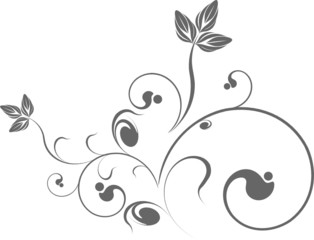 vector series - decoration flower