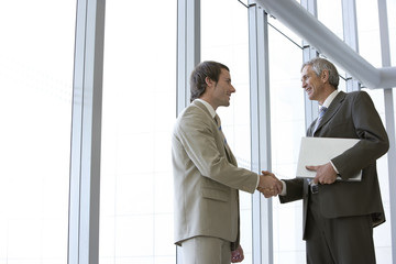 Businessmen shaking hands in front of large glass windows