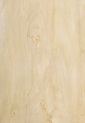 poplar wood texture - obrazy, fototapety, plakaty