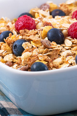 Breakfast Series - Close-up of a bowl of Muesli cereal 