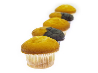 muffins