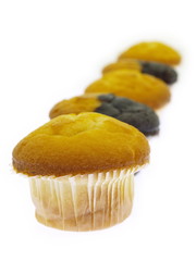 muffins