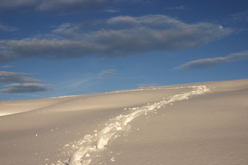 Tracce sulla neve