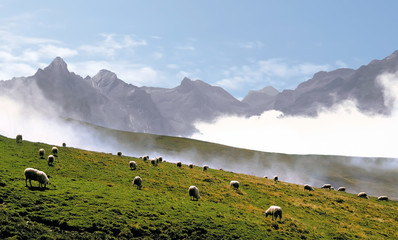 The col d'aubisque in the pyrenees-atlantique aquitaine 