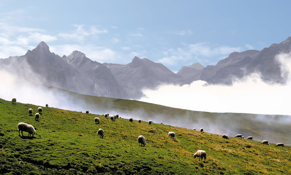 The col d'aubisque in the pyrenees-atlantique aquitaine 