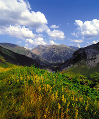 The pyrenees on the france spain border 