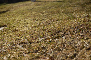 Ground