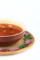 close up of a beef soup plate and onions