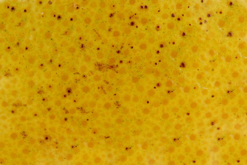 Grapefruit rind macro background texture