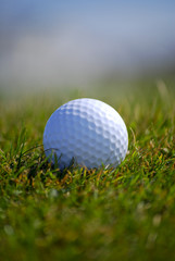 Closely focussed image in a golf ball on grass