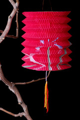 Single Red Chinese Paper Lantern