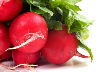 A bunch of fresh delicious red radishes with green leaves