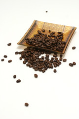 coffee seeds