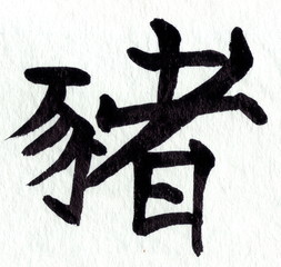 kalligraphy schwein in chinesische zodiac 