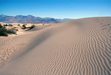 Fototapeta na wymiar Mesquite płaskie wydmy, Death Valley