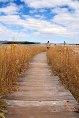 Footpath to Mono Lake, California