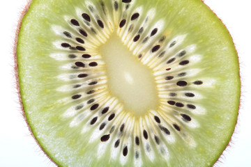 kiwi, exotic fruit, transparent cut