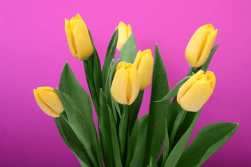 yellow tulips
