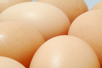 brown eggs