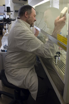 Chercheur Bilder Durchsuchen 1,497 Archivfotos, und